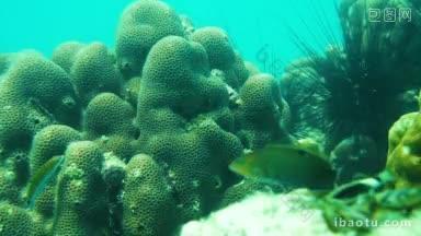 泰国水下的海景